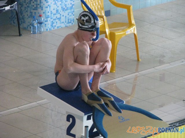 Pływanie w płetwach start Foto: Pływanie w płetwach start Foto: