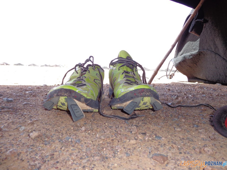 Wybiegaj marzenia (2) Foto: Wybiegaj marzenia (2) Foto: