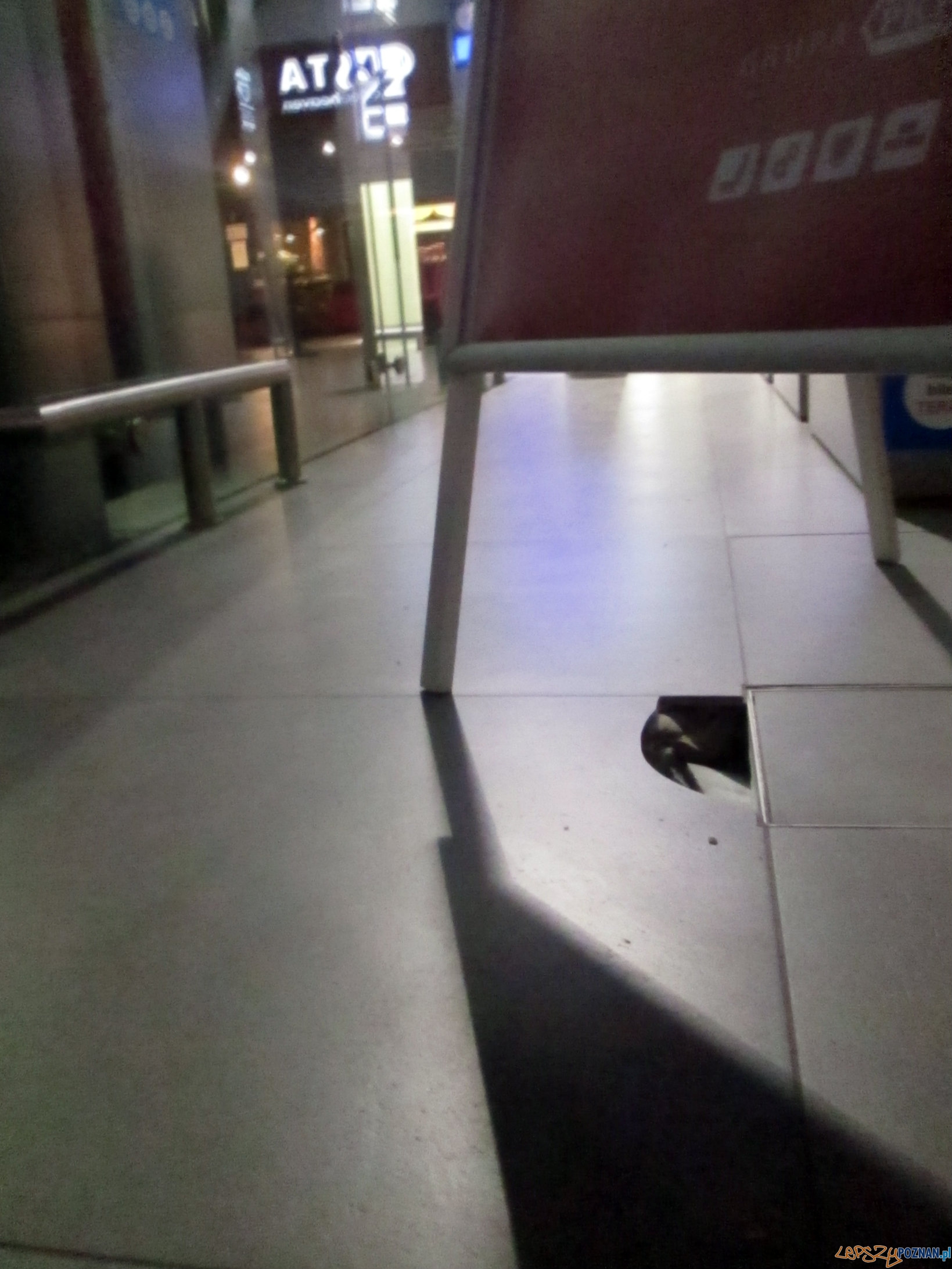 Nowy Dworzec nie taki wspaniały? Foto: Nishiopoznan Nowy Dworzec nie taki wspaniały? Foto: Nishiopoznan