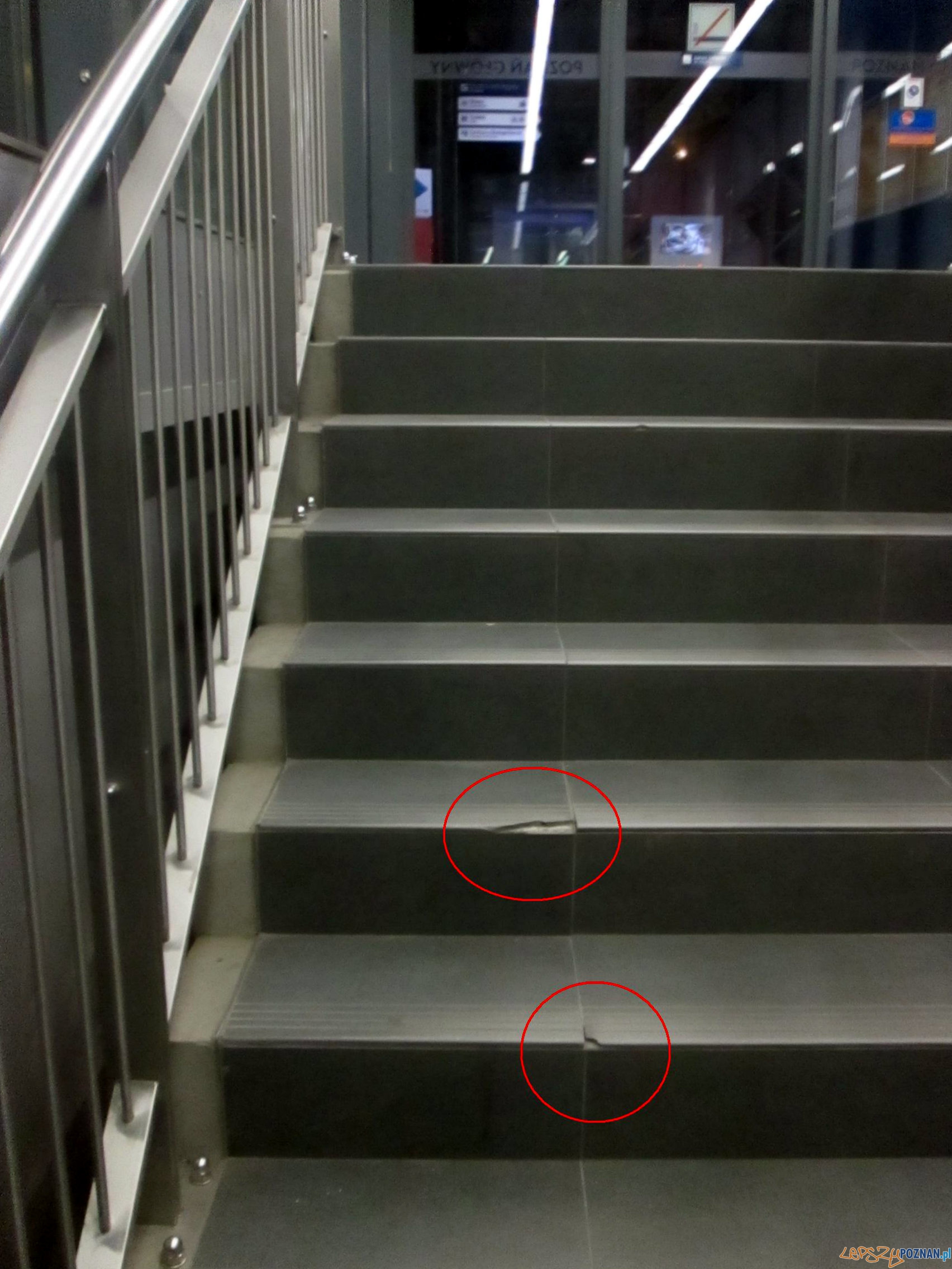 Nowy Dworzec nie taki wspaniały? Foto: Nishiopoznan Nowy Dworzec nie taki wspaniały? Foto: Nishiopoznan