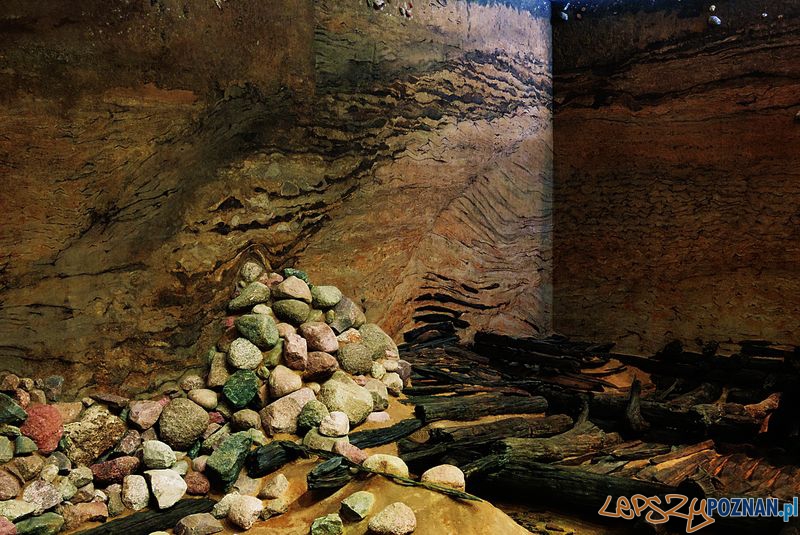 Rezerwat archeologiczny na Ostrowie Tumskim Foto: Kateriny Zisopulu-Bleja Rezerwat archeologiczny na Ostrowie Tumskim Foto: Kateriny Zisopulu-Bleja