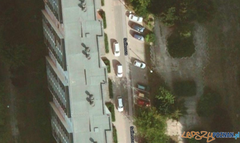 Grunwald Foto: GoogleMaps Grunwald Foto: GoogleMaps