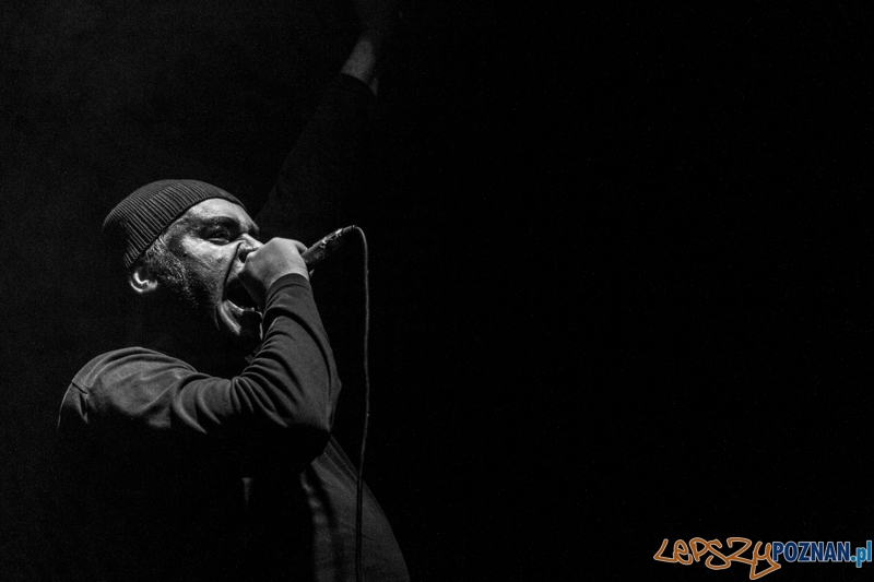 Luxfest 2013 - Trupia Czaszka - Poznań 16.11.2013 r. Foto: LepszyPOZNAN.pl / Paweł Rychter Luxfest 2013 - Trupia Czaszka - Poznań 16.11.2013 r. Foto: LepszyPOZNAN.pl / Paweł Rychter