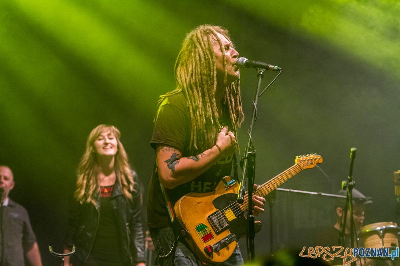 Luxfest 2013 - Maleo i Panny Wyklęte -Poznań 16.11.2013 r. Foto: LepszyPOZNAN.pl / Paweł Rychter Luxfest 2013 - Maleo i Panny Wyklęte -Poznań 16.11.2013 r. Foto: LepszyPOZNAN.pl / Paweł Rychter