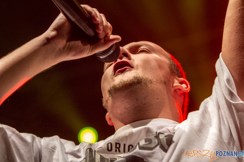 Luxfest 2013 - Maleo i Panny Wyklęte -Poznań 16.11.2013 r. Foto: LepszyPOZNAN.pl / Paweł Rychter Luxfest 2013 - Maleo i Panny Wyklęte -Poznań 16.11.2013 r. Foto: LepszyPOZNAN.pl / Paweł Rychter