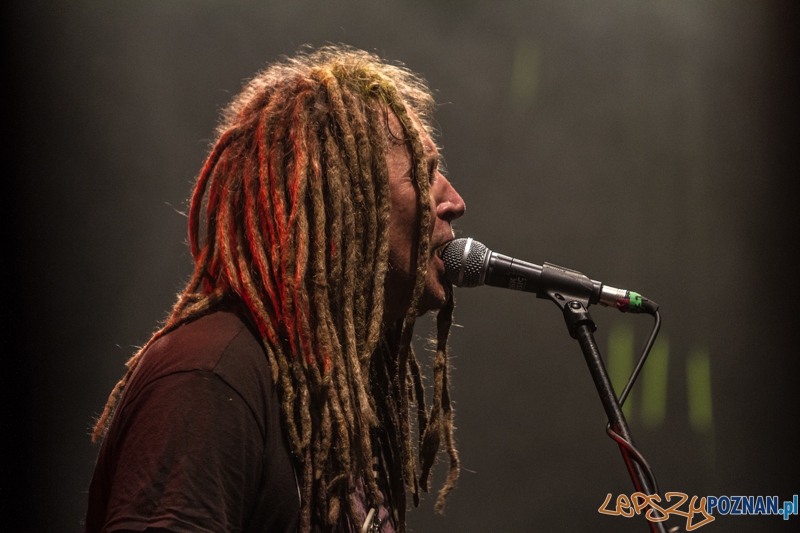 Luxfest 2013 - Maleo i Panny Wyklęte -Poznań 16.11.2013 r. Foto: LepszyPOZNAN.pl / Paweł Rychter Luxfest 2013 - Maleo i Panny Wyklęte -Poznań 16.11.2013 r. Foto: LepszyPOZNAN.pl / Paweł Rychter