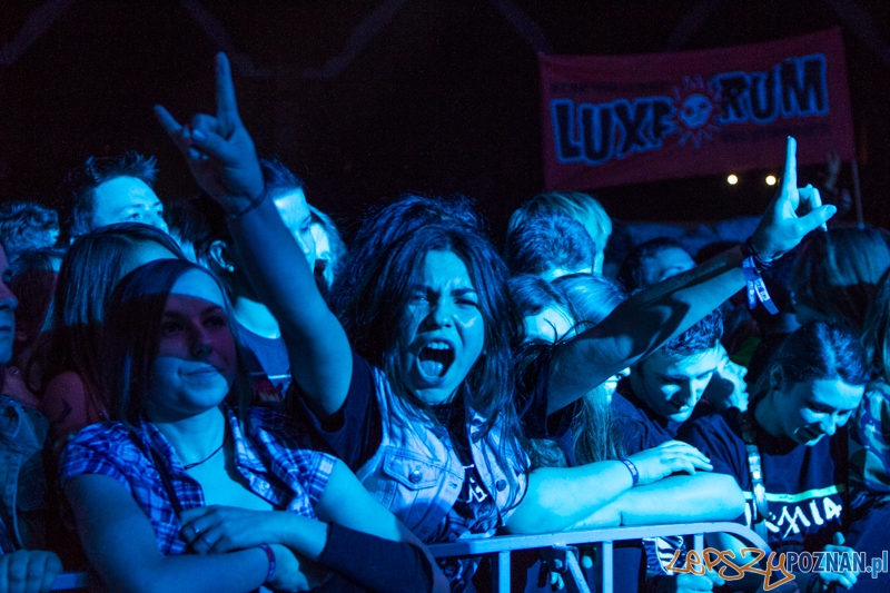 Luxfest 2013 - Luxtorpeda - Poznań 16.11.2013 r. Foto: LepszyPOZNAN.pl / Paweł Rychter Luxfest 2013 - Luxtorpeda - Poznań 16.11.2013 r. Foto: LepszyPOZNAN.pl / Paweł Rychter