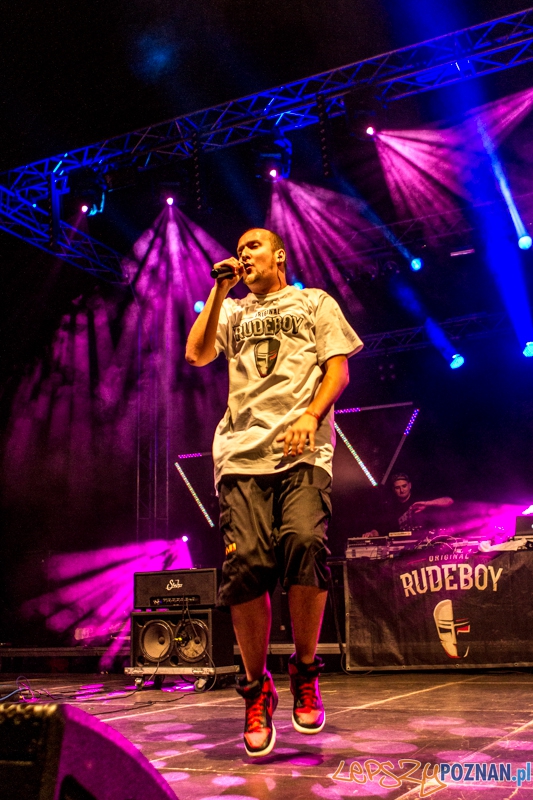 Luxfest 2013 - GrubSon - Poznań 16.11.2013 r. Foto: LepszyPOZNAN.pl / Paweł Rychter Luxfest 2013 - GrubSon - Poznań 16.11.2013 r. Foto: LepszyPOZNAN.pl / Paweł Rychter