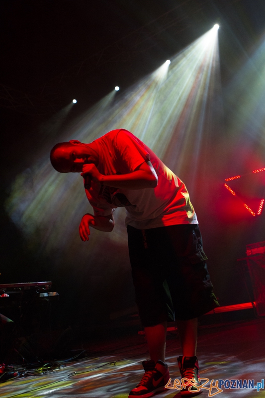 Luxfest 2013 - GrubSon - Poznań 16.11.2013 r. Foto: LepszyPOZNAN.pl / Paweł Rychter Luxfest 2013 - GrubSon - Poznań 16.11.2013 r. Foto: LepszyPOZNAN.pl / Paweł Rychter