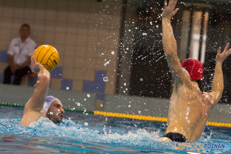 DSW Waterpolo Poznań - WTS Bytom, Termy Maltańskie 24.11.2013 r. (Tomasz Różycki) Foto: lepszyPOZNAN.pl / Piotr Rychter DSW Waterpolo Poznań - WTS Bytom, Termy Maltańskie 24.11.2013 r. (Tomasz Różycki) Foto: lepszyPOZNAN.pl / Piotr Rychter
