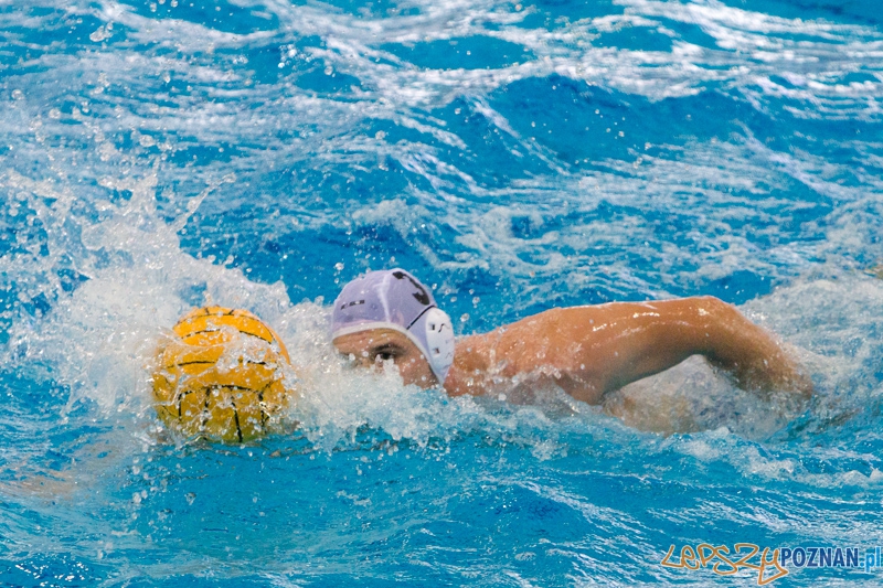DSW Waterpolo Poznań - WTS Bytom, Termy Maltańskie 24.11.2013 r. (Rafał Iwanowicz) Foto: lepszyPOZNAN.pl / Piotr Rychter DSW Waterpolo Poznań - WTS Bytom, Termy Maltańskie 24.11.2013 r. (Rafał Iwanowicz) Foto: lepszyPOZNAN.pl / Piotr Rychter