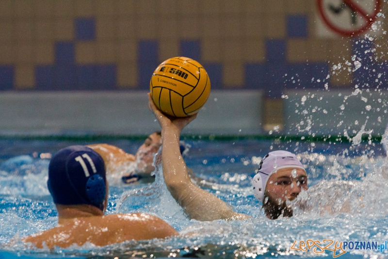 DSW Waterpolo Poznań - WTS Bytom, Termy Maltańskie 23.11.2013 r. (Paweł Wielogórski) Foto: lepszyPOZNAN.pl / Piotr Rychter DSW Waterpolo Poznań - WTS Bytom, Termy Maltańskie 23.11.2013 r. (Paweł Wielogórski) Foto: lepszyPOZNAN.pl / Piotr Rychter