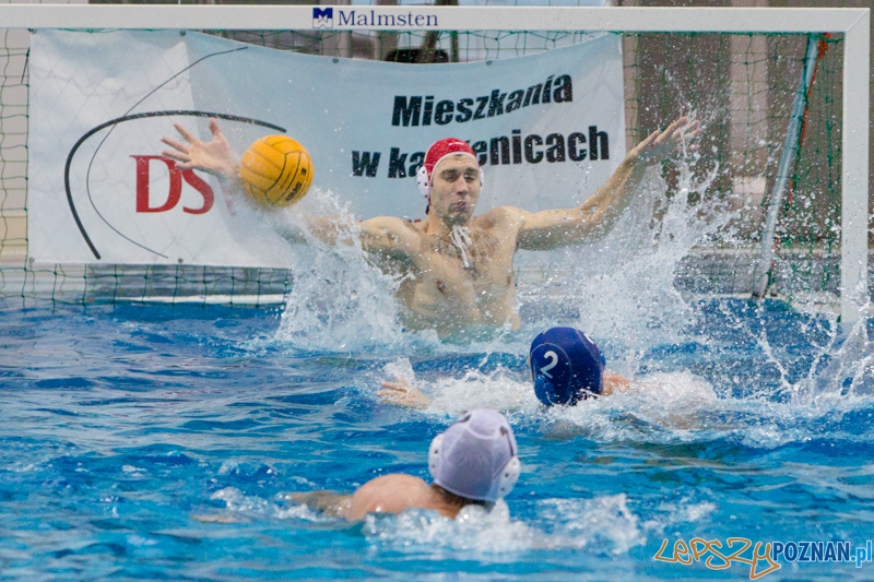 DSW Waterpolo Poznań - WTS Bytom, Termy Maltańskie 24.11.2013 r. (Mishanya Yazerski) Foto: lepszyPOZNAN.pl / Piotr Rychter DSW Waterpolo Poznań - WTS Bytom, Termy Maltańskie 24.11.2013 r. (Mishanya Yazerski) Foto: lepszyPOZNAN.pl / Piotr Rychter