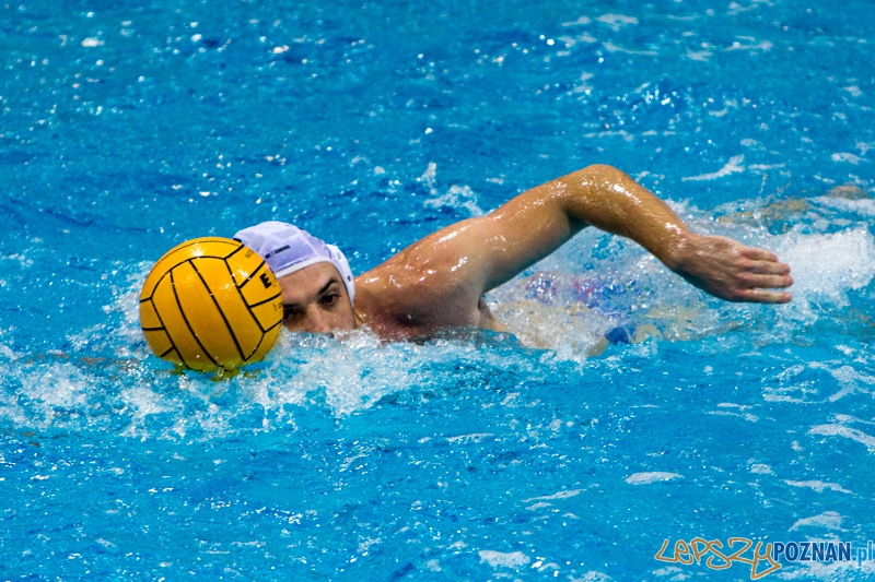 DSW Waterpolo Poznań - WTS Bytom, Termy Maltańskie 23.11.2013 r. (Tomasz Różycki) Foto: lepszyPOZNAN.pl / Piotr Rychter DSW Waterpolo Poznań - WTS Bytom, Termy Maltańskie 23.11.2013 r. (Tomasz Różycki) Foto: lepszyPOZNAN.pl / Piotr Rychter