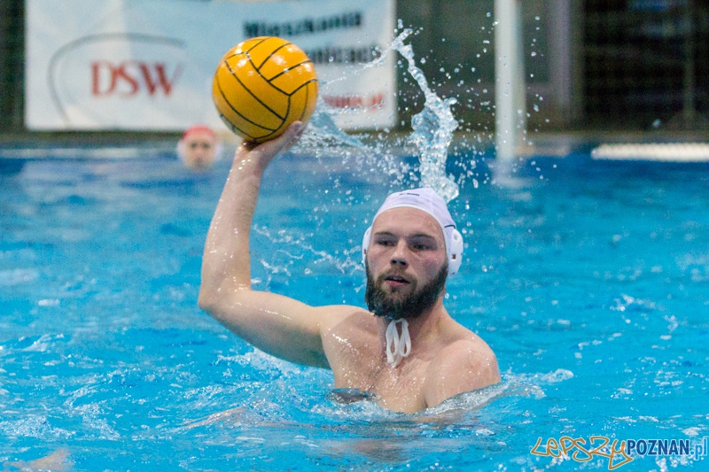 DSW Waterpolo Poznań - WTS Bytom, Termy Maltańskie 23.11.2013 r. (Paweł Wielogórski) Foto: lepszyPOZNAN.pl / Piotr Rychter DSW Waterpolo Poznań - WTS Bytom, Termy Maltańskie 23.11.2013 r. (Paweł Wielogórski) Foto: lepszyPOZNAN.pl / Piotr Rychter