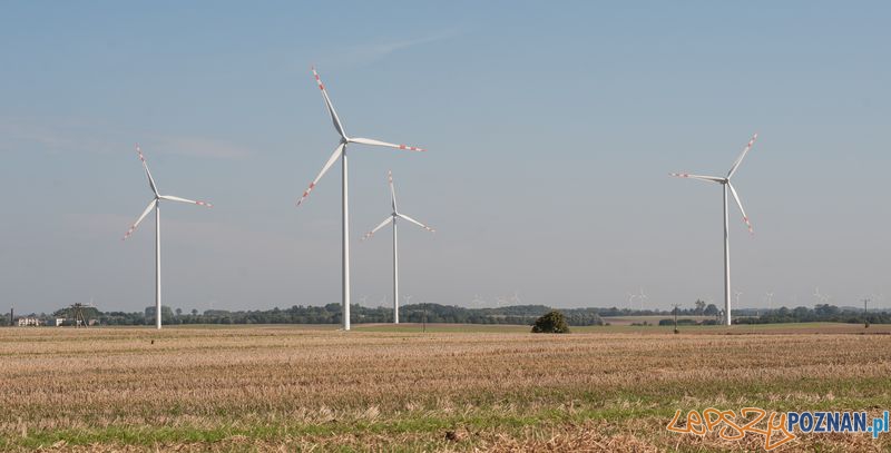 ENEA elektrownia_wiatrowa  Foto: 