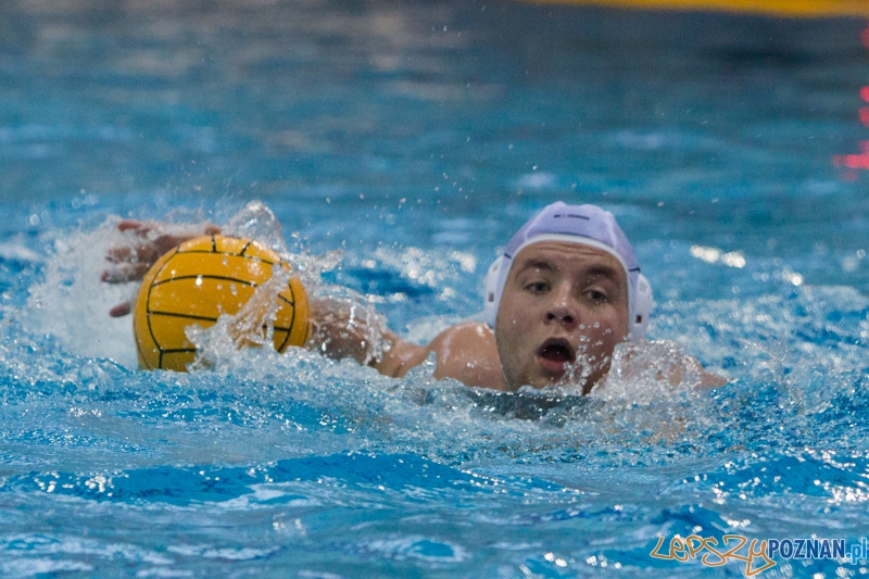 DSW Waterpolo Poznań - WTS Bytom, Termy Maltańskie 24.11.2013 r. Foto: lepszyPOZNAN.pl / Piotr Rychter DSW Waterpolo Poznań - WTS Bytom, Termy Maltańskie 24.11.2013 r. Foto: lepszyPOZNAN.pl / Piotr Rychter