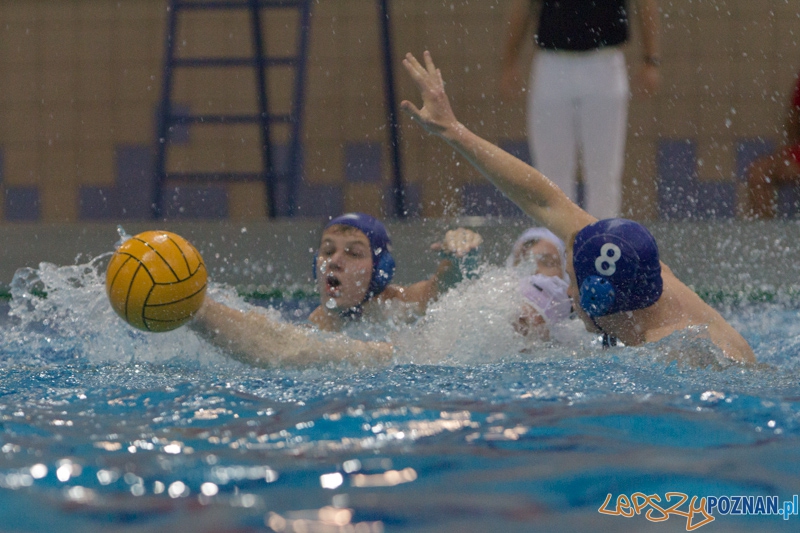 DSW Waterpolo Poznań - WTS Bytom, Termy Maltańskie 23.11.2013 r. Foto: lepszyPOZNAN.pl / Piotr Rychter DSW Waterpolo Poznań - WTS Bytom, Termy Maltańskie 23.11.2013 r. Foto: lepszyPOZNAN.pl / Piotr Rychter