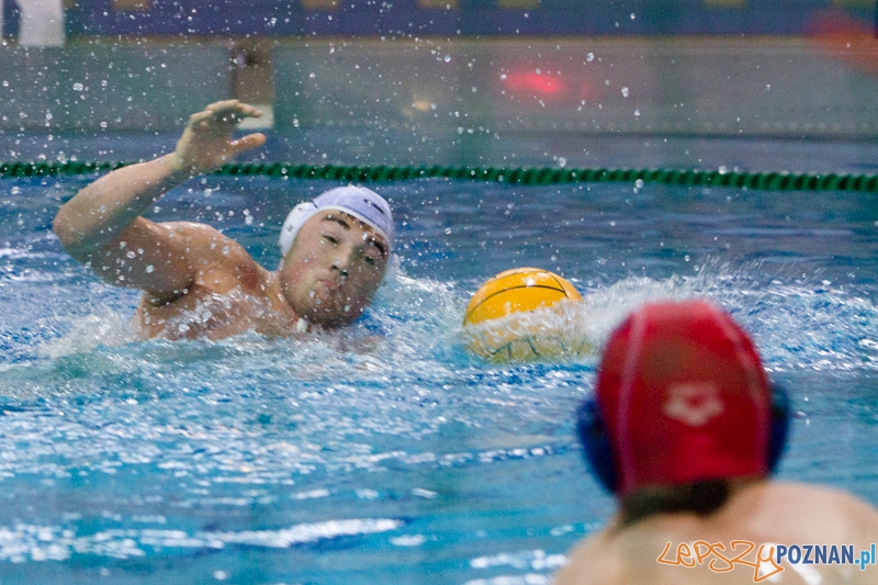 DSW Waterpolo Poznań - WTS Bytom, Termy Maltańskie 24.11.2013 r. Foto: lepszyPOZNAN.pl / Piotr Rychter DSW Waterpolo Poznań - WTS Bytom, Termy Maltańskie 24.11.2013 r. Foto: lepszyPOZNAN.pl / Piotr Rychter