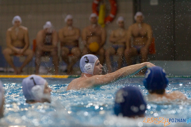 DSW Waterpolo Poznań - WTS Bytom, Termy Maltańskie 23.11.2013 r. (Rafał Iwanowicz) Foto: lepszyPOZNAN.pl / Piotr Rychter DSW Waterpolo Poznań - WTS Bytom, Termy Maltańskie 23.11.2013 r. (Rafał Iwanowicz) Foto: lepszyPOZNAN.pl / Piotr Rychter