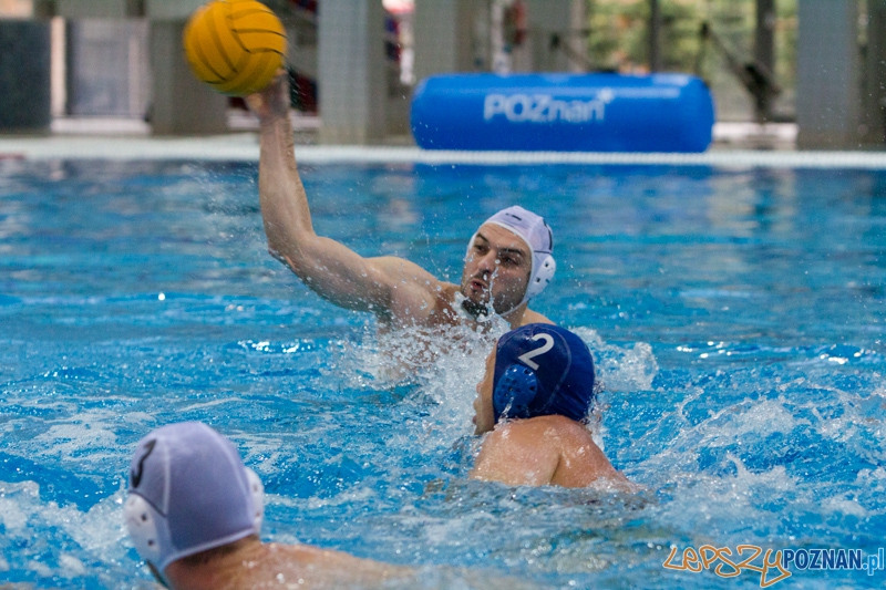 DSW Waterpolo Poznań - WTS Bytom, Termy Maltańskie 24.11.2013 r. (Tomasz Różycki) Foto: lepszyPOZNAN.pl / Piotr Rychter DSW Waterpolo Poznań - WTS Bytom, Termy Maltańskie 24.11.2013 r. (Tomasz Różycki) Foto: lepszyPOZNAN.pl / Piotr Rychter