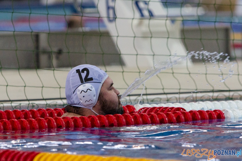 DSW Waterpolo Poznań - WTS Bytom, Termy Maltańskie 24.11.2013 r. (Michał Zawadzki) Foto: lepszyPOZNAN.pl / Piotr Rychter DSW Waterpolo Poznań - WTS Bytom, Termy Maltańskie 24.11.2013 r. (Michał Zawadzki) Foto: lepszyPOZNAN.pl / Piotr Rychter