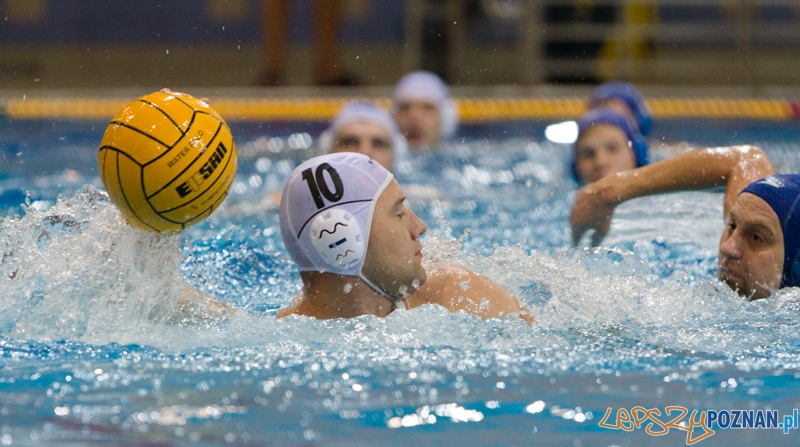 DSW Waterpolo Poznań - WTS Bytom, Termy Maltańskie 23.11.2013 r. (Marek Mazurek) Foto: lepszyPOZNAN.pl / Piotr Rychter DSW Waterpolo Poznań - WTS Bytom, Termy Maltańskie 23.11.2013 r. (Marek Mazurek) Foto: lepszyPOZNAN.pl / Piotr Rychter