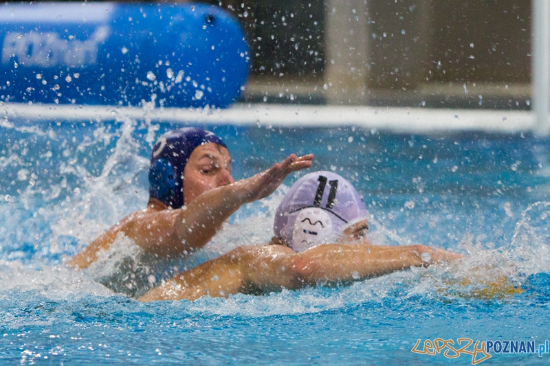 DSW Waterpolo Poznań - WTS Bytom, Termy Maltańskie 24.11.2013 r. (Oskar Szymoniak) Foto: lepszyPOZNAN.pl / Piotr Rychter DSW Waterpolo Poznań - WTS Bytom, Termy Maltańskie 24.11.2013 r. (Oskar Szymoniak) Foto: lepszyPOZNAN.pl / Piotr Rychter