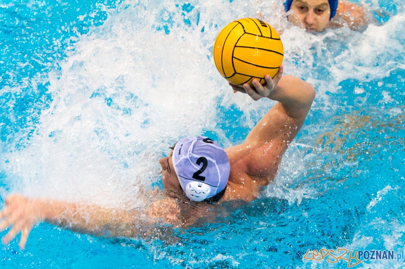 DSW Waterpolo Poznań - WTS Bytom, Termy Maltańskie 23.11.2013 r. (Dawid Łuc) Foto: lepszyPOZNAN.pl / Piotr Rychter DSW Waterpolo Poznań - WTS Bytom, Termy Maltańskie 23.11.2013 r. (Dawid Łuc) Foto: lepszyPOZNAN.pl / Piotr Rychter