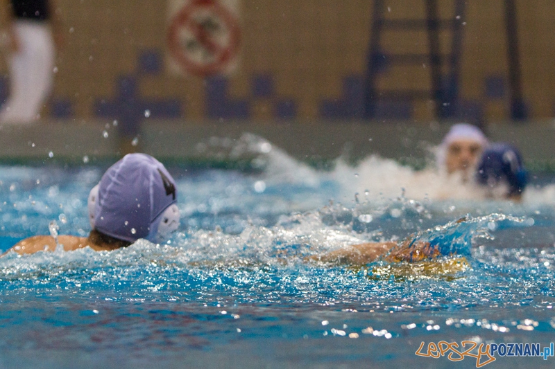 DSW Waterpolo Poznań - WTS Bytom, Termy Maltańskie 23.11.2013 r. (Rafał Bocheński) Foto: lepszyPOZNAN.pl / Piotr Rychter DSW Waterpolo Poznań - WTS Bytom, Termy Maltańskie 23.11.2013 r. (Rafał Bocheński) Foto: lepszyPOZNAN.pl / Piotr Rychter