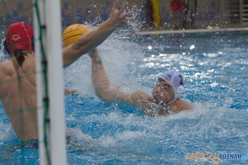 DSW Waterpolo Poznań - WTS Bytom, Termy Maltańskie 24.11.2013 r. (Dawid Łuc) Foto: lepszyPOZNAN.pl / Piotr Rychter DSW Waterpolo Poznań - WTS Bytom, Termy Maltańskie 24.11.2013 r. (Dawid Łuc) Foto: lepszyPOZNAN.pl / Piotr Rychter