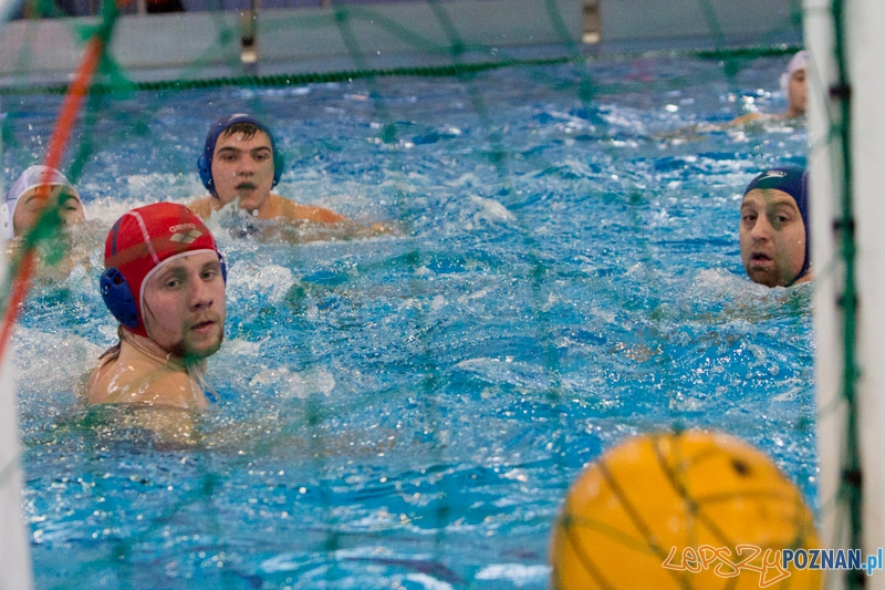 DSW Waterpolo Poznań - WTS Bytom, Termy Maltańskie 24.11.2013 r. Foto: lepszyPOZNAN.pl / Piotr Rychter DSW Waterpolo Poznań - WTS Bytom, Termy Maltańskie 24.11.2013 r. Foto: lepszyPOZNAN.pl / Piotr Rychter