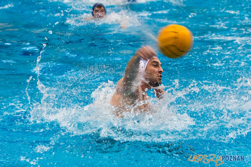 DSW Waterpolo Poznań - WTS Bytom, Termy Maltańskie 24.11.2013 r. (Tomasz Różycki) Foto: lepszyPOZNAN.pl / Piotr Rychter DSW Waterpolo Poznań - WTS Bytom, Termy Maltańskie 24.11.2013 r. (Tomasz Różycki) Foto: lepszyPOZNAN.pl / Piotr Rychter