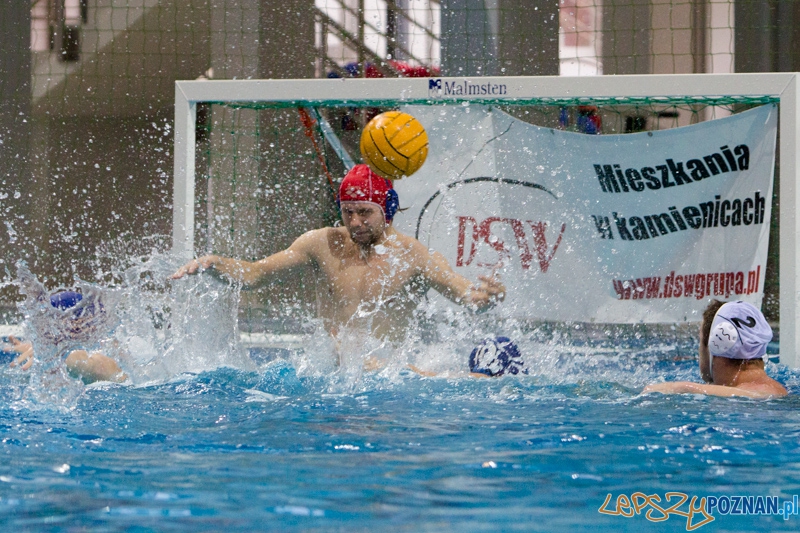 DSW Waterpolo Poznań - WTS Bytom, Termy Maltańskie 24.11.2013 r. Foto: lepszyPOZNAN.pl / Piotr Rychter DSW Waterpolo Poznań - WTS Bytom, Termy Maltańskie 24.11.2013 r. Foto: lepszyPOZNAN.pl / Piotr Rychter