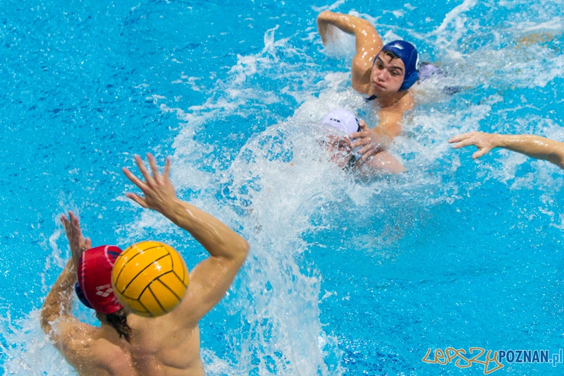 DSW Waterpolo Poznań - WTS Bytom, Termy Maltańskie 23.11.2013 r. (Paweł Wielogórski) Foto: lepszyPOZNAN.pl / Piotr Rychter DSW Waterpolo Poznań - WTS Bytom, Termy Maltańskie 23.11.2013 r. (Paweł Wielogórski) Foto: lepszyPOZNAN.pl / Piotr Rychter
