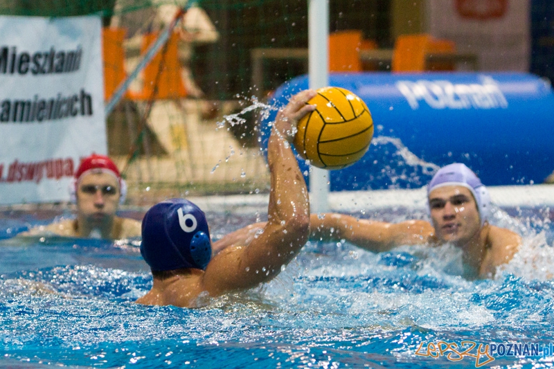 DSW Waterpolo Poznań - WTS Bytom, Termy Maltańskie 23.11.2013 r. Foto: lepszyPOZNAN.pl / Piotr Rychter DSW Waterpolo Poznań - WTS Bytom, Termy Maltańskie 23.11.2013 r. Foto: lepszyPOZNAN.pl / Piotr Rychter