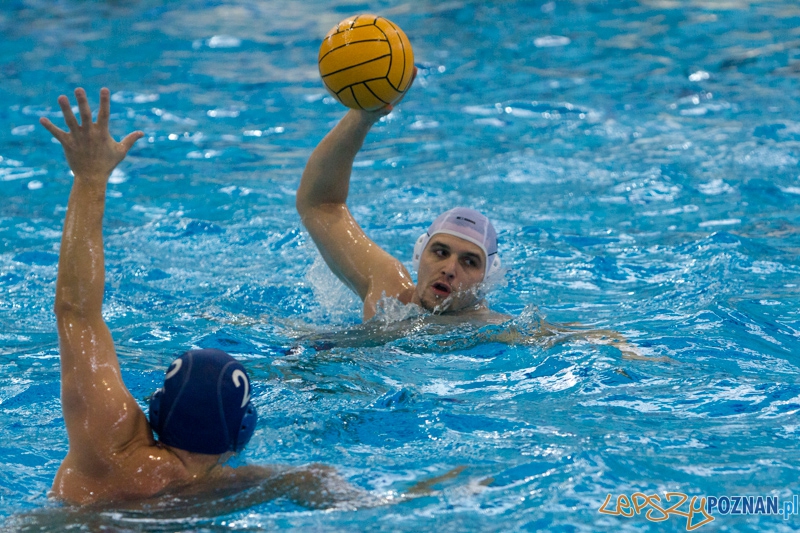 DSW Waterpolo Poznań - WTS Bytom, Termy Maltańskie 24.11.2013 r. (Rafał Iwanowicz) Foto: lepszyPOZNAN.pl / Piotr Rychter DSW Waterpolo Poznań - WTS Bytom, Termy Maltańskie 24.11.2013 r. (Rafał Iwanowicz) Foto: lepszyPOZNAN.pl / Piotr Rychter
