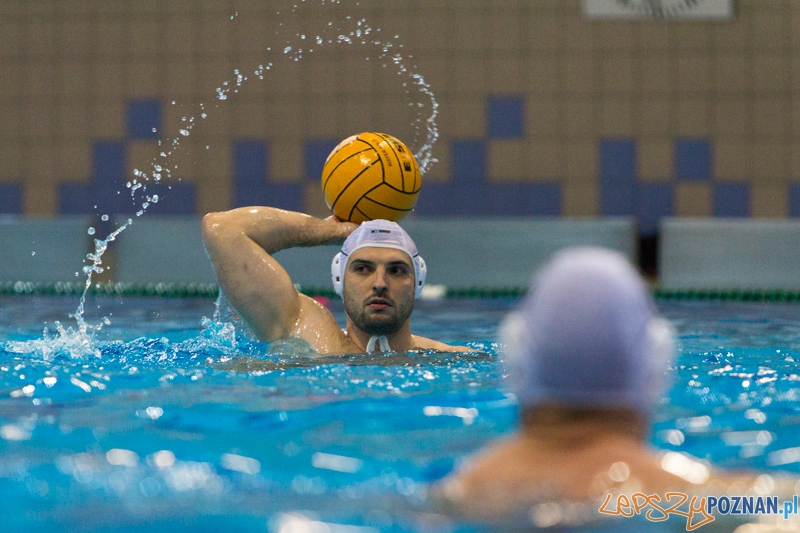DSW Waterpolo Poznań - WTS Bytom, Termy Maltańskie 23.11.2013 r. (Tomasz Różycki) Foto: lepszyPOZNAN.pl / Piotr Rychter DSW Waterpolo Poznań - WTS Bytom, Termy Maltańskie 23.11.2013 r. (Tomasz Różycki) Foto: lepszyPOZNAN.pl / Piotr Rychter