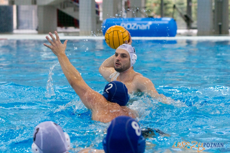 DSW Waterpolo Poznań - WTS Bytom, Termy Maltańskie 24.11.2013 r. (Tomasz Różycki) Foto: lepszyPOZNAN.pl / Piotr Rychter DSW Waterpolo Poznań - WTS Bytom, Termy Maltańskie 24.11.2013 r. (Tomasz Różycki) Foto: lepszyPOZNAN.pl / Piotr Rychter
