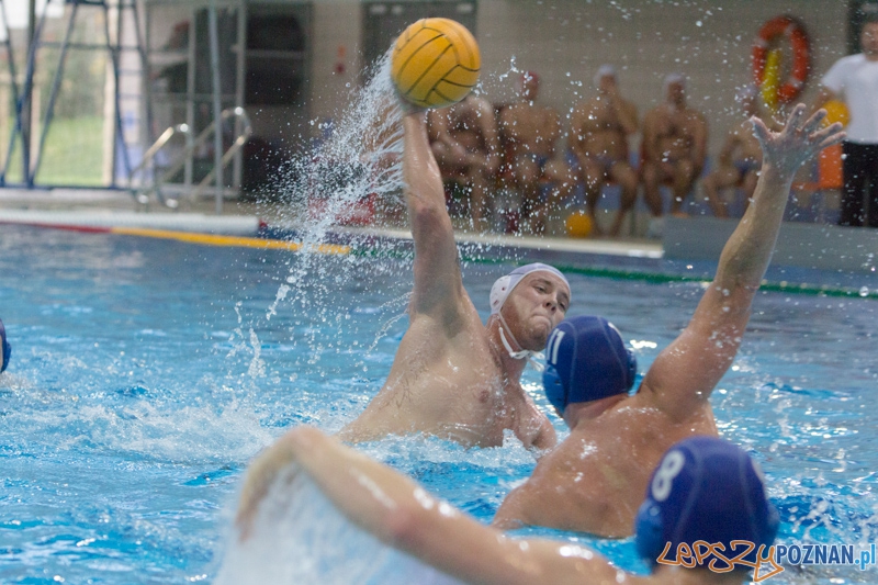 DSW Waterpolo Poznań - WTS Bytom, Termy Maltańskie 24.11.2013 r. Foto: lepszyPOZNAN.pl / Piotr Rychter DSW Waterpolo Poznań - WTS Bytom, Termy Maltańskie 24.11.2013 r. Foto: lepszyPOZNAN.pl / Piotr Rychter