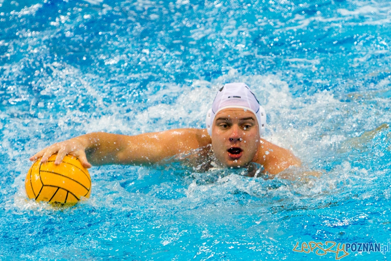 DSW Waterpolo Poznań - WTS Bytom, Termy Maltańskie 23.11.2013 r. Foto: lepszyPOZNAN.pl / Piotr Rychter DSW Waterpolo Poznań - WTS Bytom, Termy Maltańskie 23.11.2013 r. Foto: lepszyPOZNAN.pl / Piotr Rychter