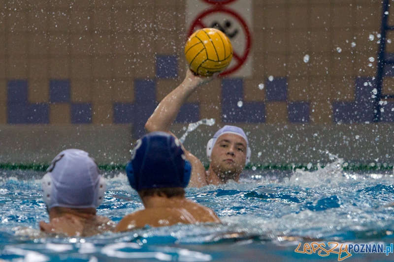 DSW Waterpolo Poznań - WTS Bytom, Termy Maltańskie 24.11.2013 r. (Marcin Czapla) Foto: lepszyPOZNAN.pl / Piotr Rychter DSW Waterpolo Poznań - WTS Bytom, Termy Maltańskie 24.11.2013 r. (Marcin Czapla) Foto: lepszyPOZNAN.pl / Piotr Rychter