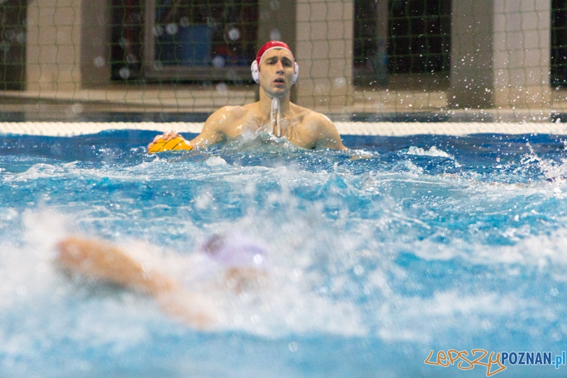 DSW Waterpolo Poznań - WTS Bytom, Termy Maltańskie 23.11.2013 r. (Mishanya Yazerski) Foto: lepszyPOZNAN.pl / Piotr Rychter DSW Waterpolo Poznań - WTS Bytom, Termy Maltańskie 23.11.2013 r. (Mishanya Yazerski) Foto: lepszyPOZNAN.pl / Piotr Rychter