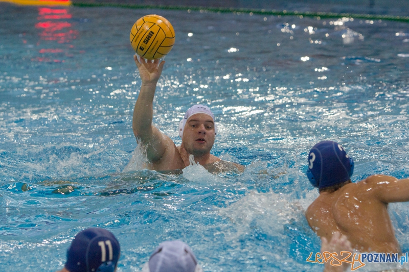 DSW Waterpolo Poznań - WTS Bytom, Termy Maltańskie 24.11.2013 r. Foto: lepszyPOZNAN.pl / Piotr Rychter DSW Waterpolo Poznań - WTS Bytom, Termy Maltańskie 24.11.2013 r. Foto: lepszyPOZNAN.pl / Piotr Rychter