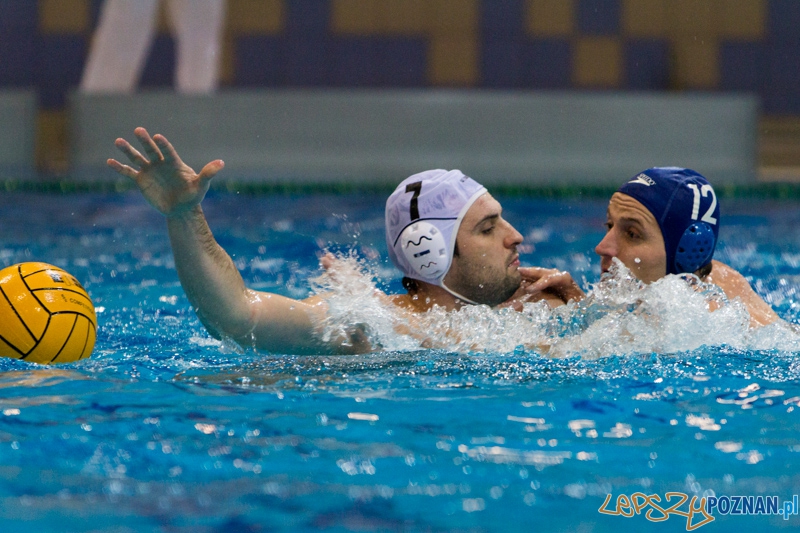 DSW Waterpolo Poznań - WTS Bytom, Termy Maltańskie 23.11.2013 r. (Tomasz Różycki) Foto: lepszyPOZNAN.pl / Piotr Rychter DSW Waterpolo Poznań - WTS Bytom, Termy Maltańskie 23.11.2013 r. (Tomasz Różycki) Foto: lepszyPOZNAN.pl / Piotr Rychter