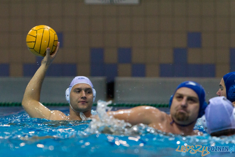 DSW Waterpolo Poznań - WTS Bytom, Termy Maltańskie 23.11.2013 r. Foto: lepszyPOZNAN.pl / Piotr Rychter DSW Waterpolo Poznań - WTS Bytom, Termy Maltańskie 23.11.2013 r. Foto: lepszyPOZNAN.pl / Piotr Rychter