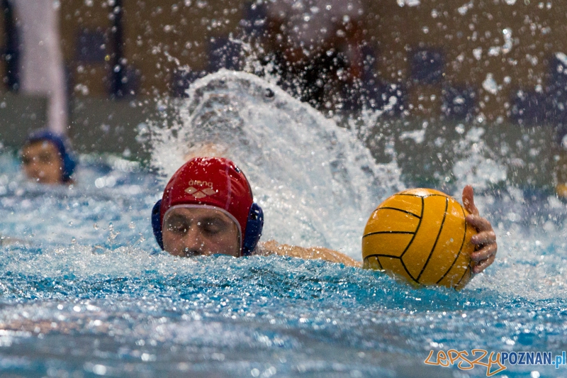DSW Waterpolo Poznań - WTS Bytom, Termy Maltańskie 24.11.2013 r. Foto: lepszyPOZNAN.pl / Piotr Rychter DSW Waterpolo Poznań - WTS Bytom, Termy Maltańskie 24.11.2013 r. Foto: lepszyPOZNAN.pl / Piotr Rychter