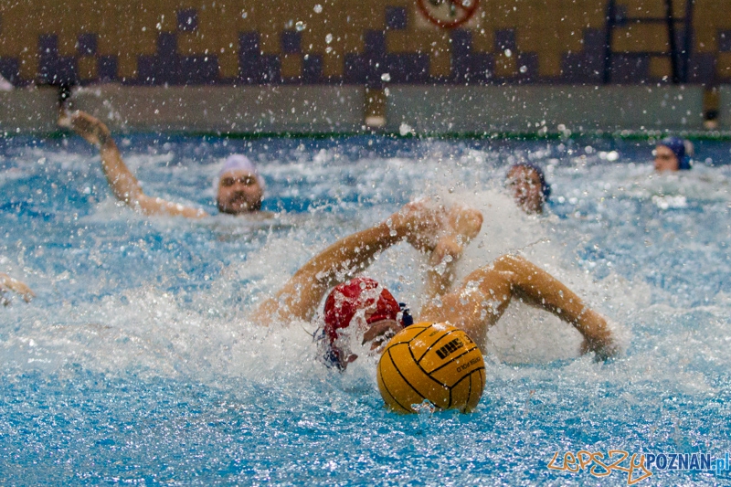 DSW Waterpolo Poznań - WTS Bytom, Termy Maltańskie 23.11.2013 r. Foto: lepszyPOZNAN.pl / Piotr Rychter DSW Waterpolo Poznań - WTS Bytom, Termy Maltańskie 23.11.2013 r. Foto: lepszyPOZNAN.pl / Piotr Rychter