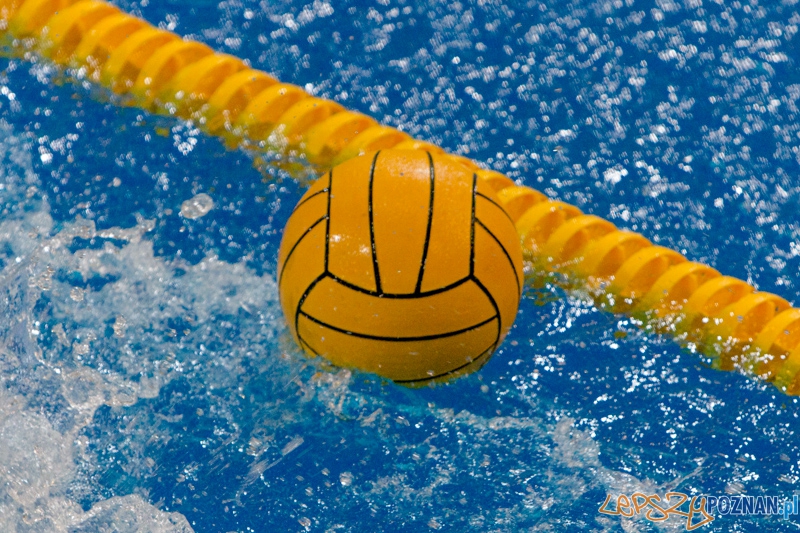 DSW Waterpolo Poznań - WTS Bytom, Termy Maltańskie 23.11.2013 r. Foto: lepszyPOZNAN.pl / Piotr Rychter DSW Waterpolo Poznań - WTS Bytom, Termy Maltańskie 23.11.2013 r. Foto: lepszyPOZNAN.pl / Piotr Rychter