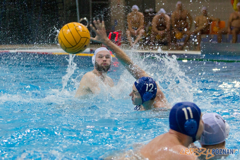 DSW Waterpolo Poznań - WTS Bytom, Termy Maltańskie 23.11.2013 r. (Paweł Wielogórski) Foto: lepszyPOZNAN.pl / Piotr Rychter DSW Waterpolo Poznań - WTS Bytom, Termy Maltańskie 23.11.2013 r. (Paweł Wielogórski) Foto: lepszyPOZNAN.pl / Piotr Rychter